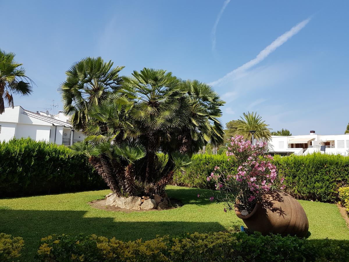 Venecia Apartments Port de Alcudia  Exterior photo